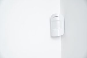 alarmas AJAX en valencia - accesos