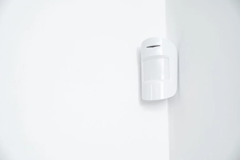 alarmas AJAX en valencia - accesos